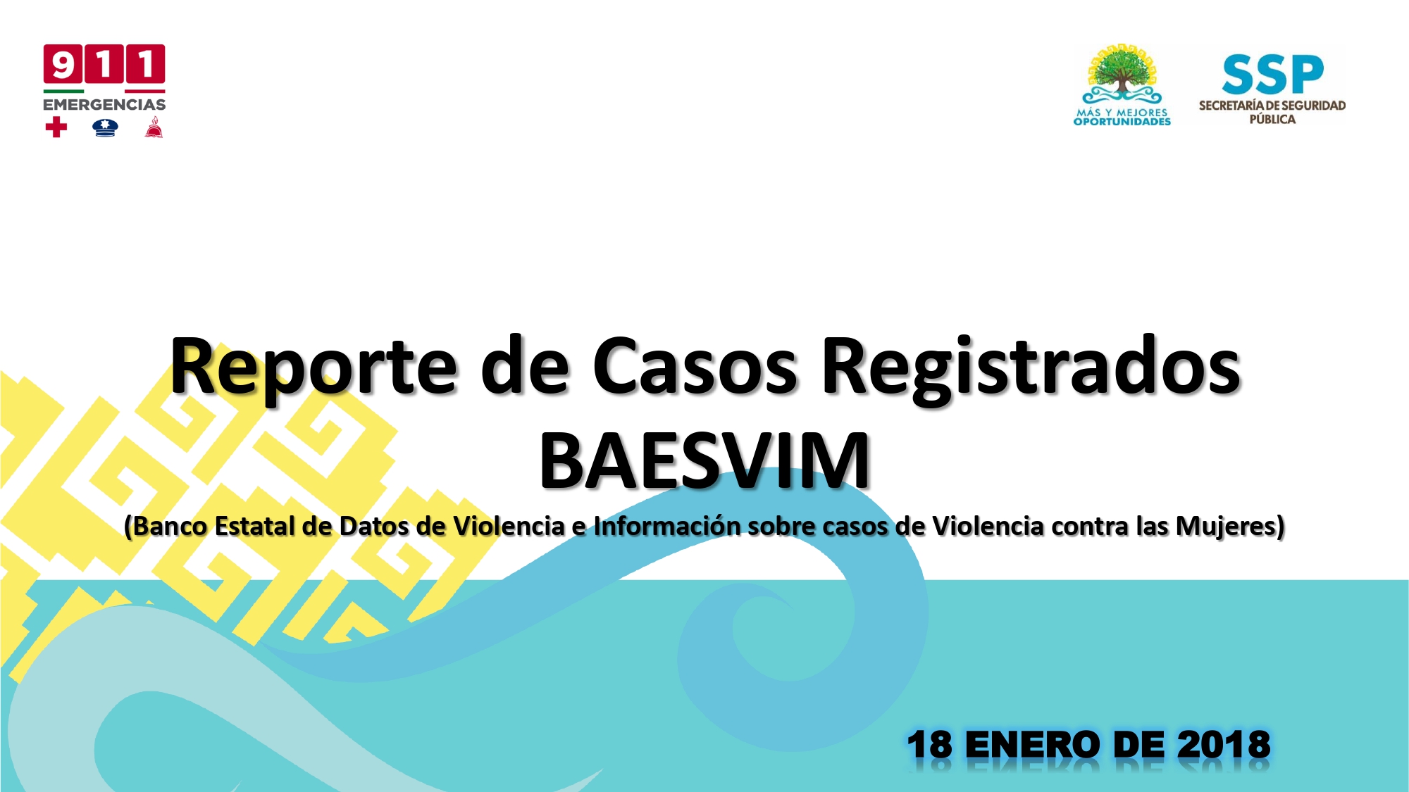 02ReporteCasosRegistradosBAESVIM