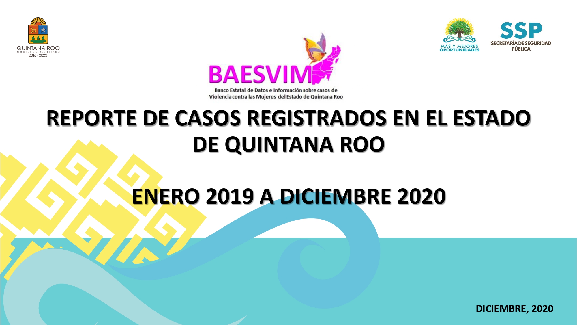 07InformeBAESVIM2020