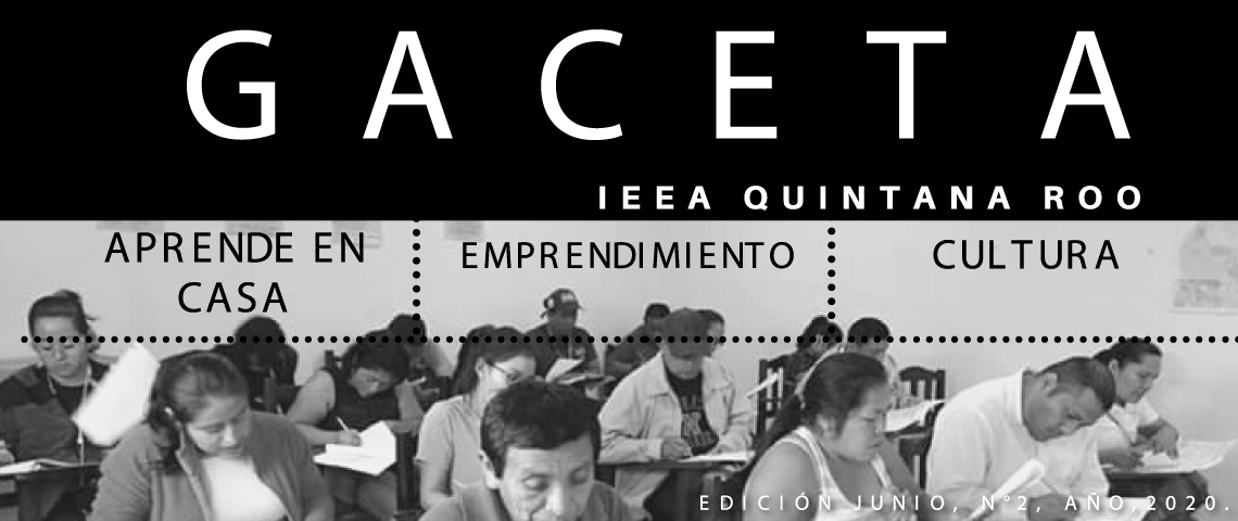 Gaceta IEEA Junio