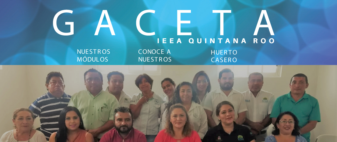 Gaceta IEEA Julio