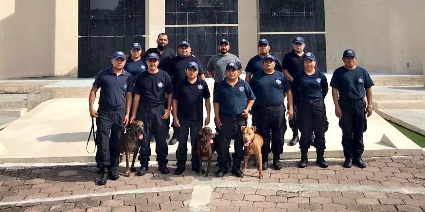 CONCLUYE ESPECIALIZACIÓN AL AGRUPAMIENTO CANINO DE LA POLICÍA ESTATAL PREVENTIVA