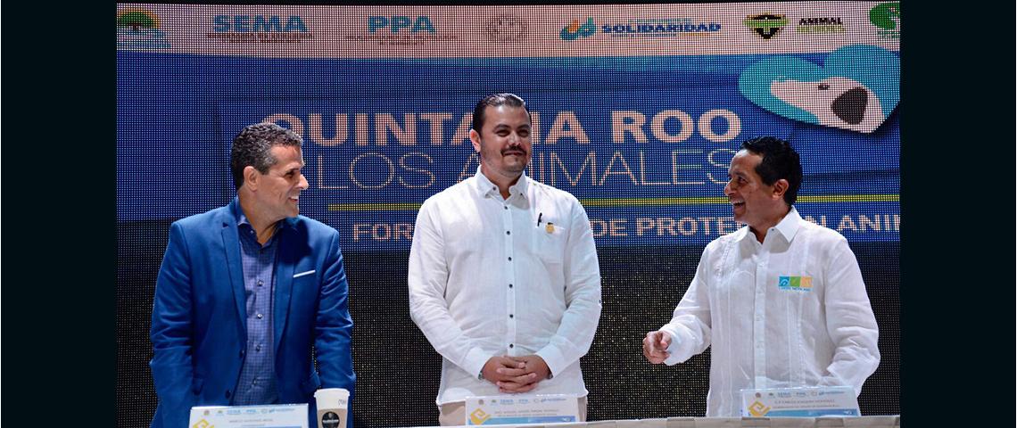 FORO QUINTANA ROO POR LOS ANIMALES1