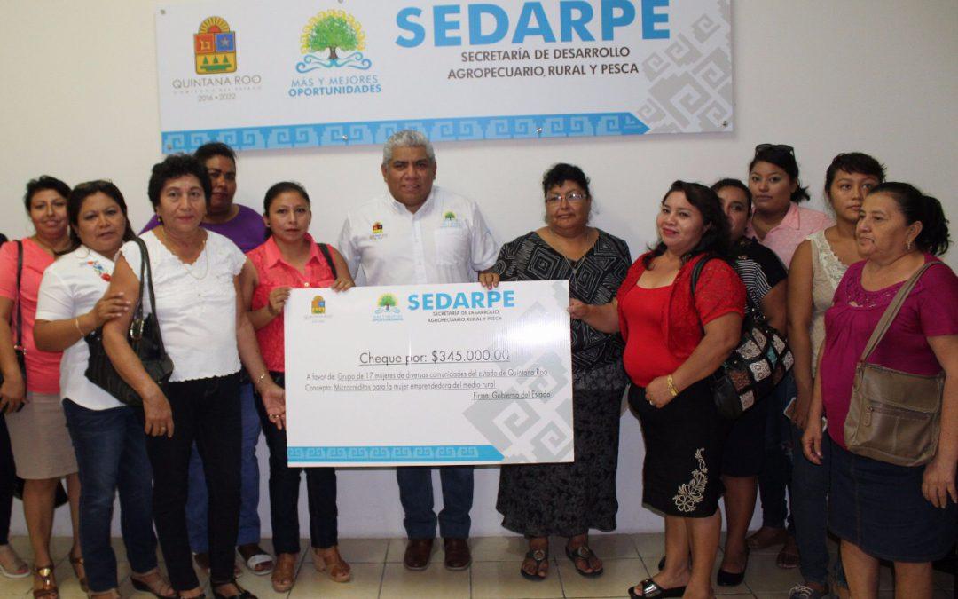sedarpe microcréditos 1