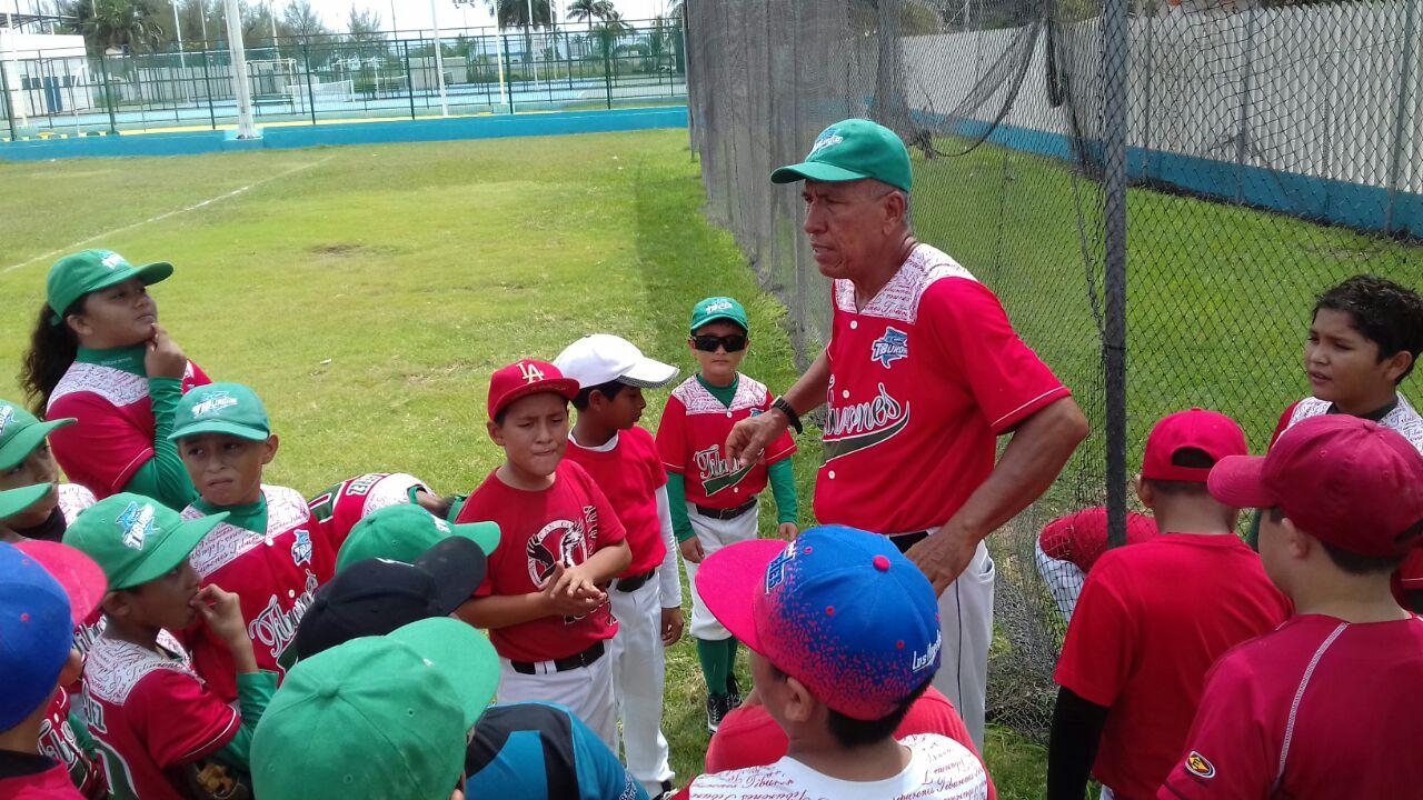 Campeonato de la liga infantil y juvenil de béisbol