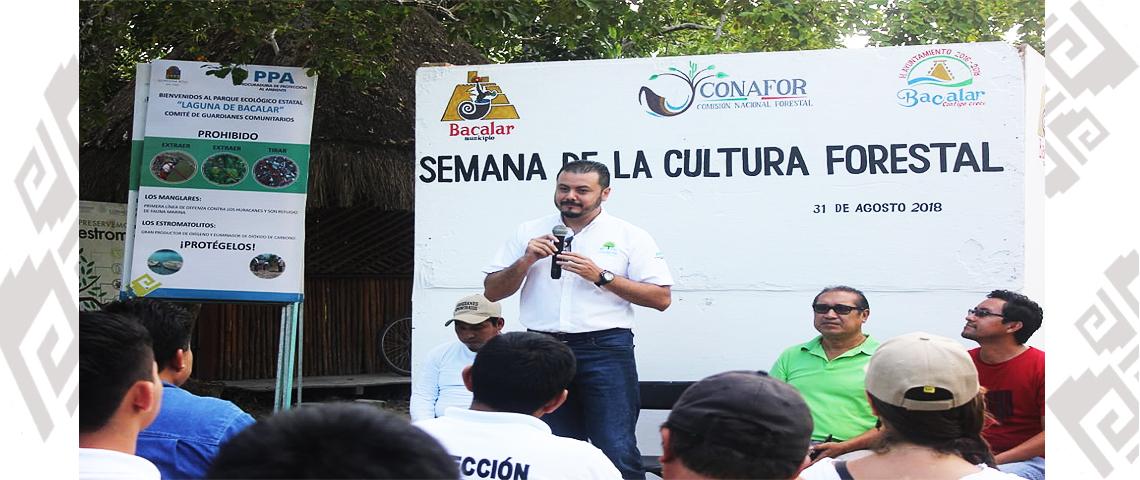 Guardianes Comunitarios