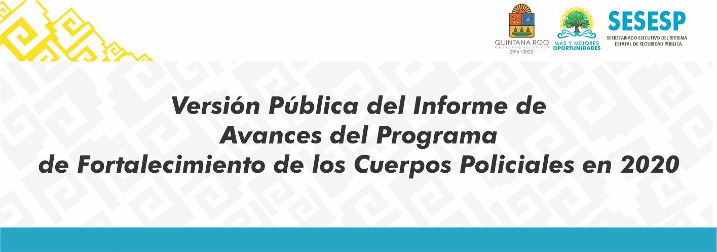 Versión Pública de Informe de Avances