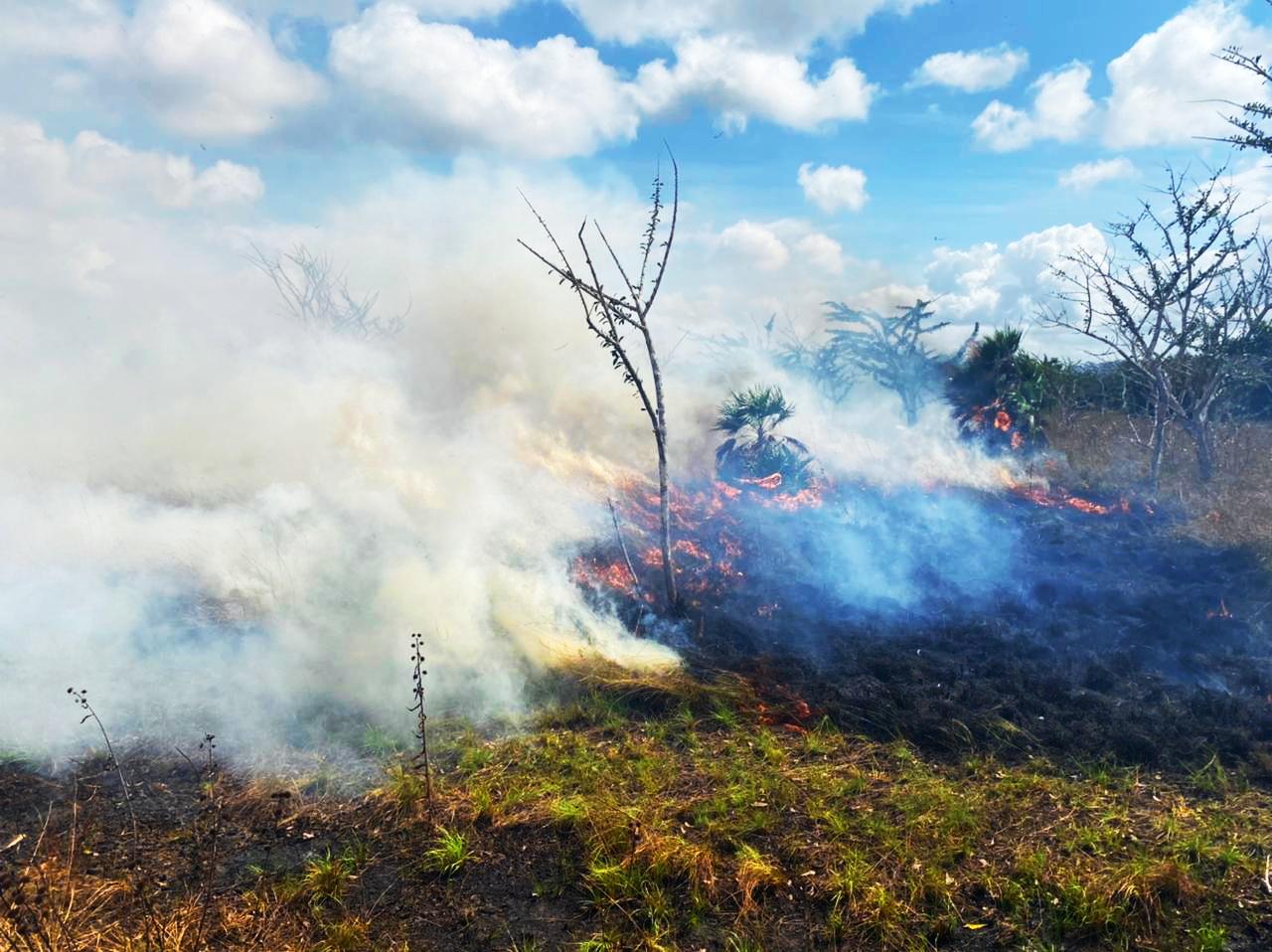 Incendios 