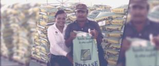 Entrega semilla