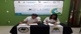 Firma