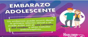 Grupo Estatal para la Prevención del Embarazo en Adolescentes