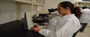 SESA-Servicios-de-laboratorio-1