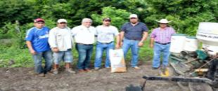 sorgo 1