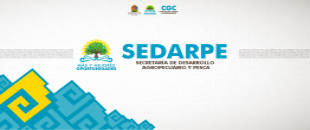 sedarpe 1