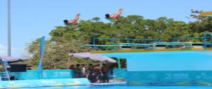 Jornada de clavados de la rama varonil  y rondas de sincronizados clasificatorios en el penúltimo día de competencia 
