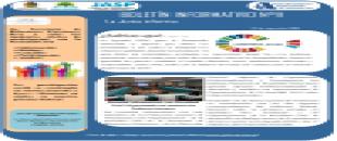 BOLETÍN INFORMATIVO 11