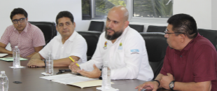 Consejo consultivo de Cozumel