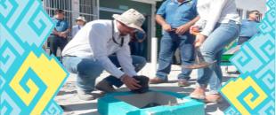 Reforestación PPA 2019