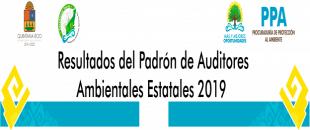 Resultado Auditores Ambientales 2019