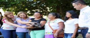 Recibe DIF Quintana Roo donativo de crías de cerdo pelón mexicano para el programa de Comunidad DIFerente