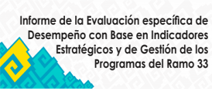 Informe de la Evaluación Específica de Desempeño con Base en Indicadores Estratégicos y de Gestión de los Programas del Ramo 33