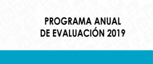 Programa anual de evaluación 2019