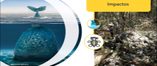 Caribe circular 