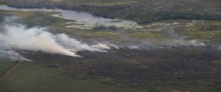 Incendios 