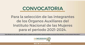 Organos auxiliares