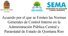 ACUERDO POR EL CUAL SE EMITEN LAS NORMAS GENERALES DE CONTROL INTERNO EN LA ADMINISTRACIÓN PÚBLICA CENTRAL Y PARAESTATAL DEL ESTADO DE QUINTANA ROO